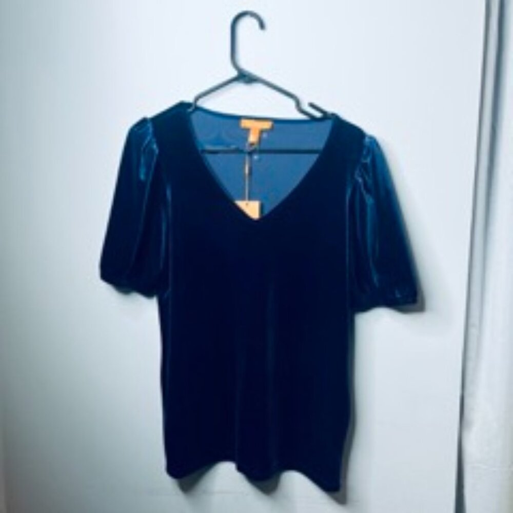 Gigi Parker (Lord & Taylor) Blouse Blue Women’s  Velvet